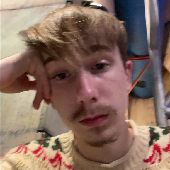 Meet your Posher, Carson - Picture 1 of 1